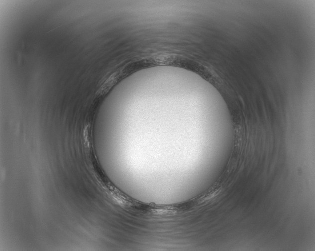 X0000060270286200510281043