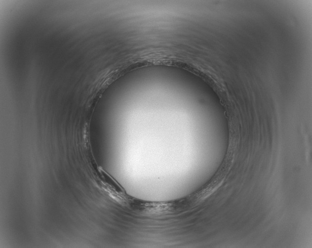 X0000060270288200510281043