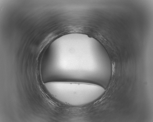 X0000060270291200510281042
