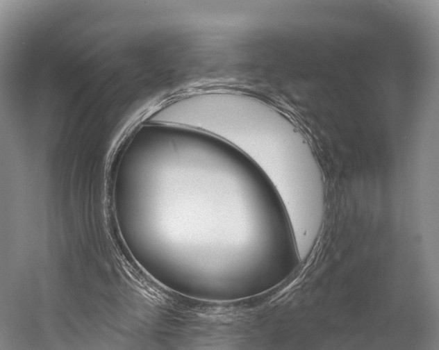X0000060270293200510281042