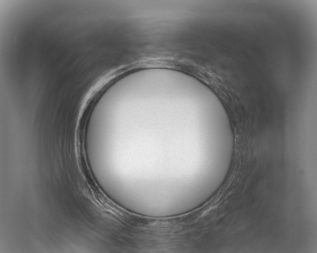 X0000060270294200510281042