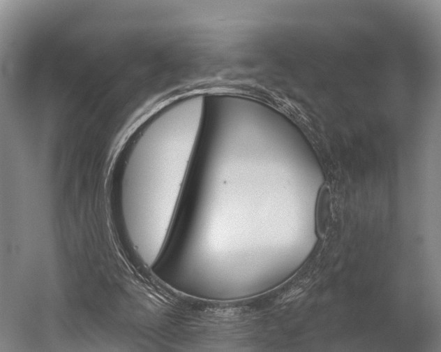 X0000060270295200510281042