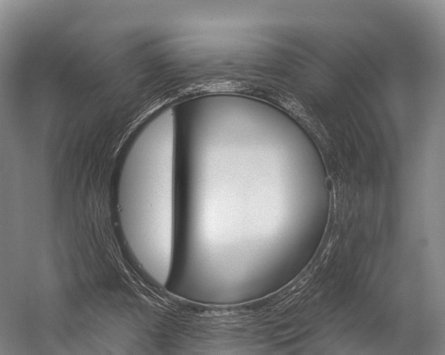 X0000060270297200510281042
