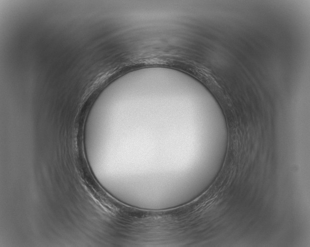 X0000060270299200510281042
