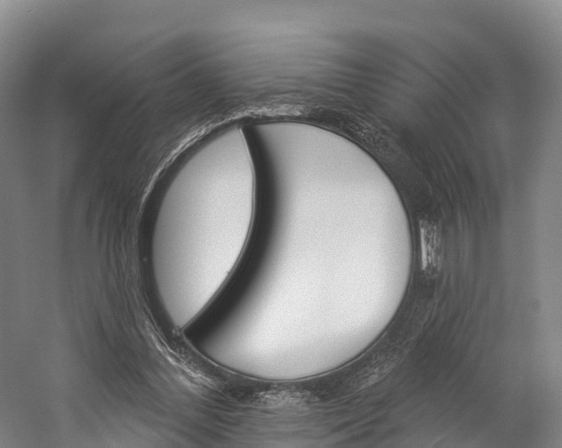 X0000060270300200510281042