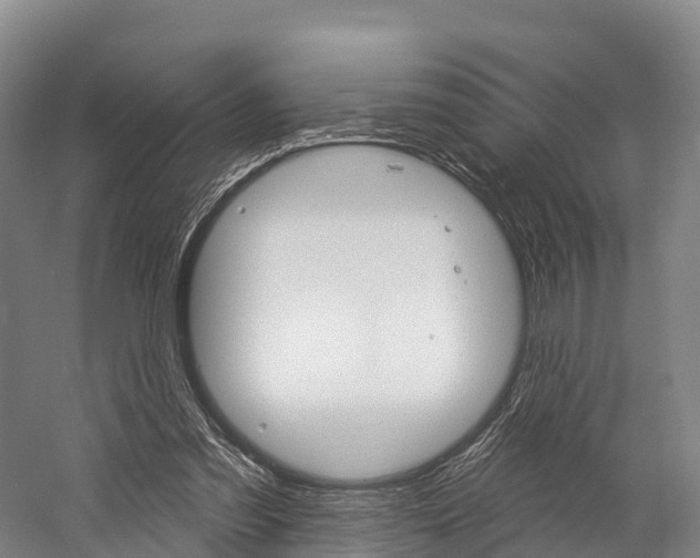 X0000060270301200510281042