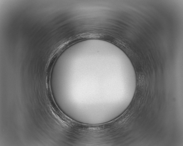 X0000060270302200510281042