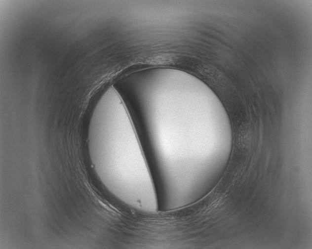X0000060270303200510281042