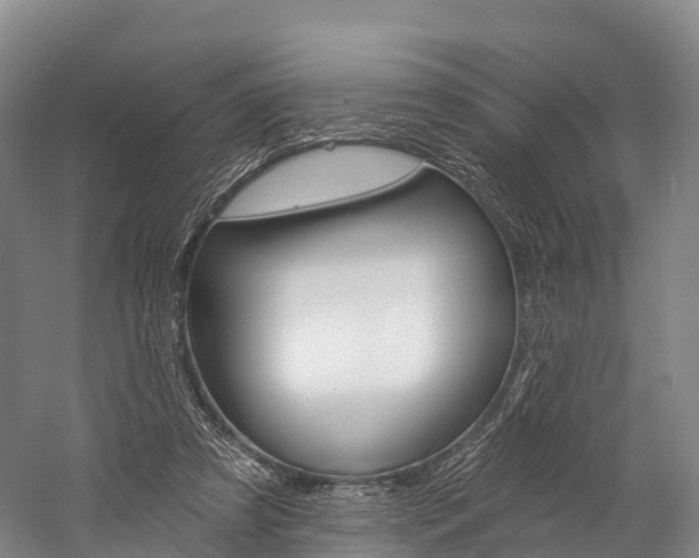 X0000060270305200510281042