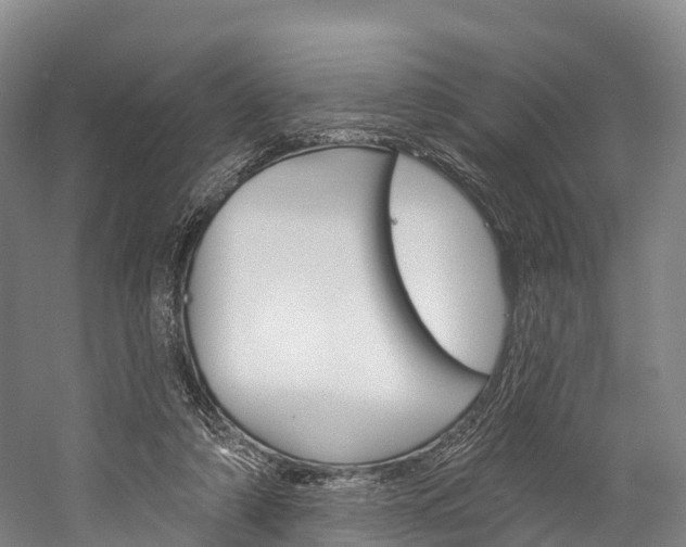 X0000060270306200510281042