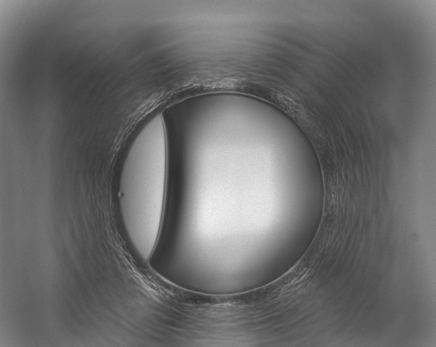 X0000060270309200510281042