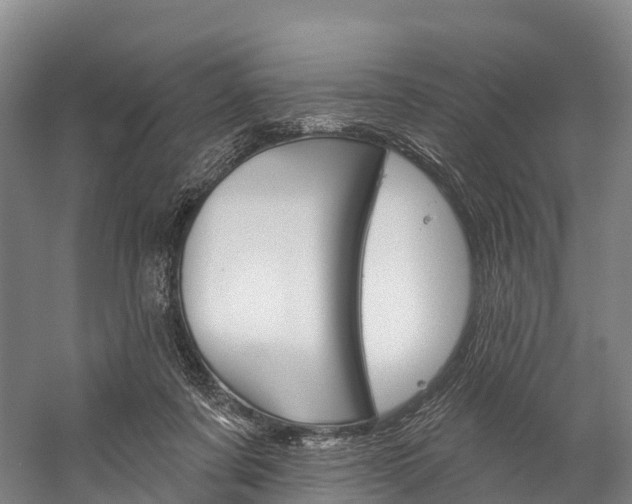 X0000060270311200510281042