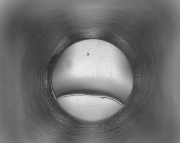 X0000060270312200510281042