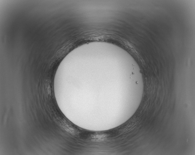 X0000060270313200510281042
