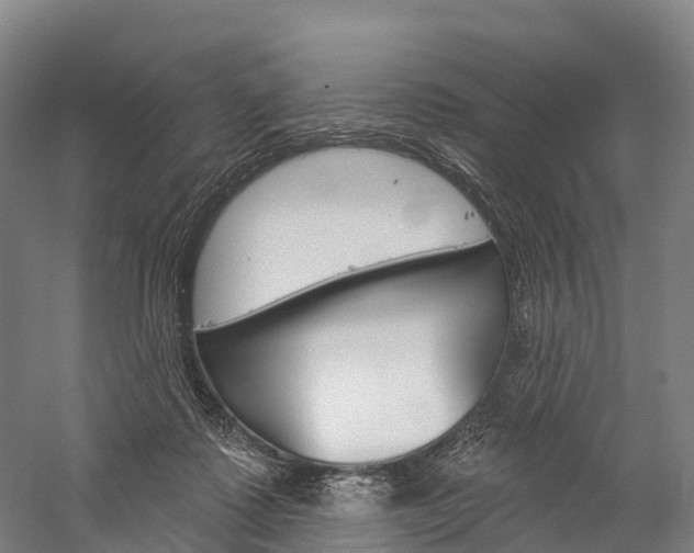 X0000060270315200510281042