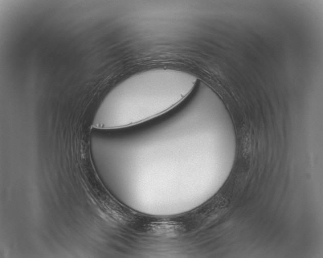 X0000060270316200510281042