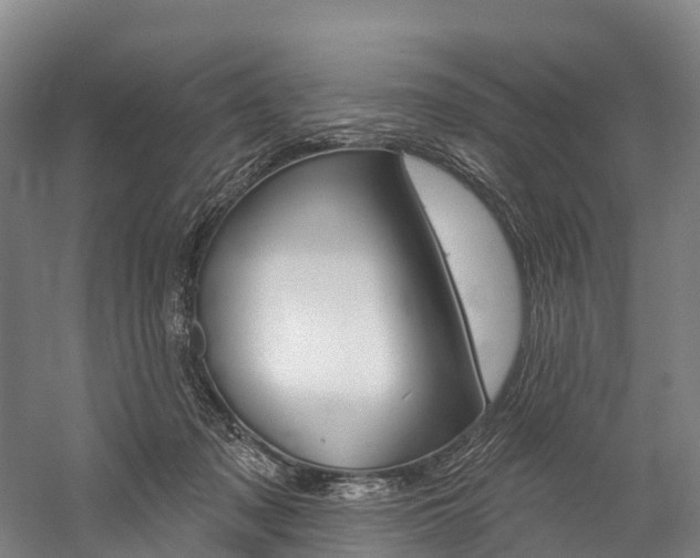 X0000060270317200510281042