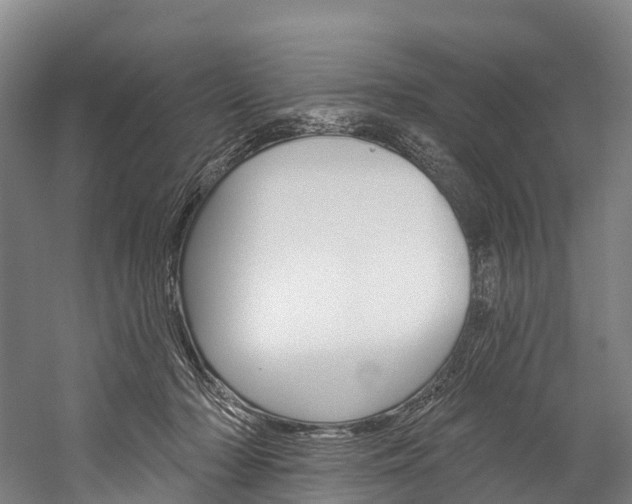 X0000060270318200510281042