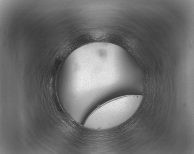 X0000060270319200510281042