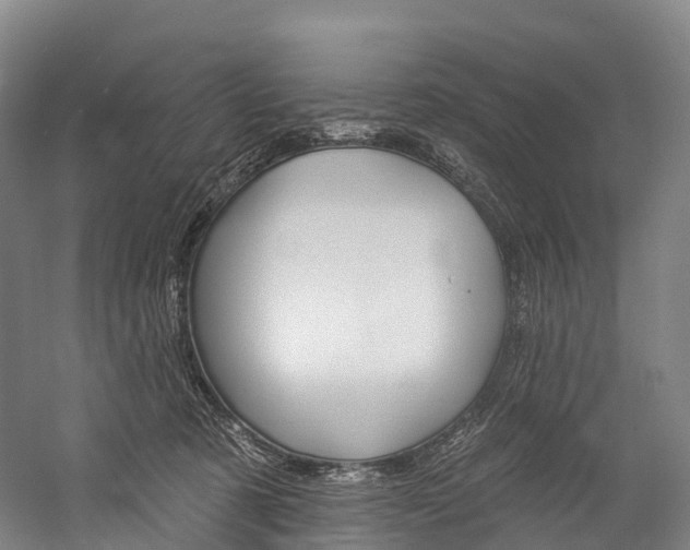X0000060270321200510281042