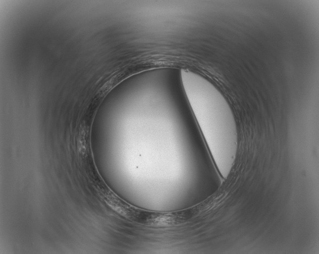 X0000060270325200510281042
