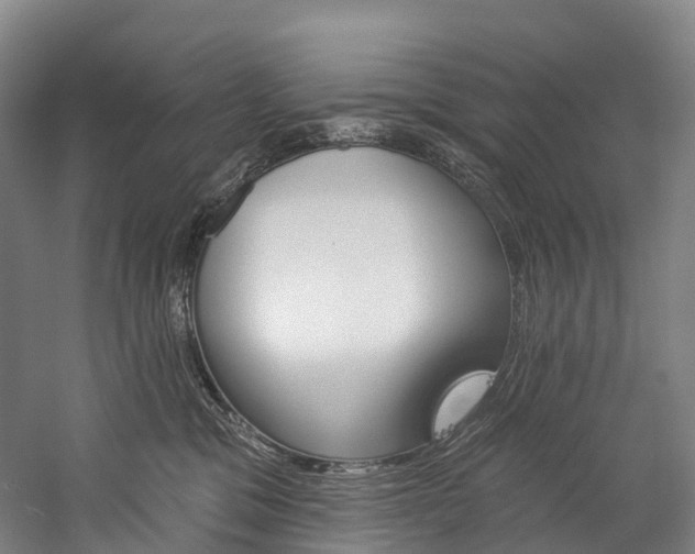 X0000060270329200510281041