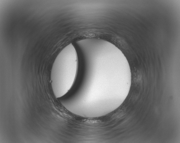 X0000060270332200510281041