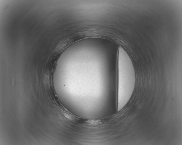 X0000060270333200510281041