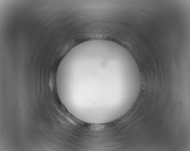X0000060270334200510281041