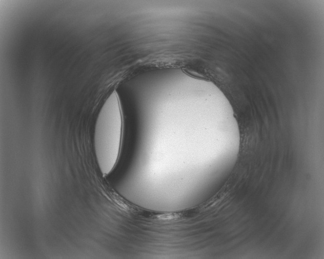X0000060270335200510281041