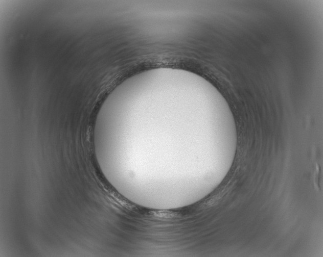 X0000060270336200510281041