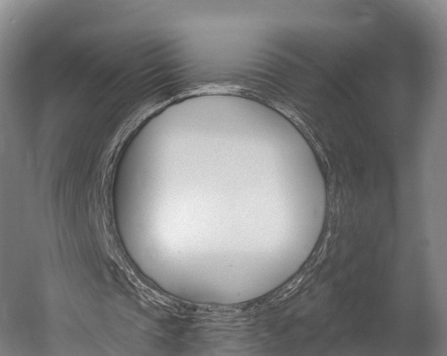 X0000060270337200510281041