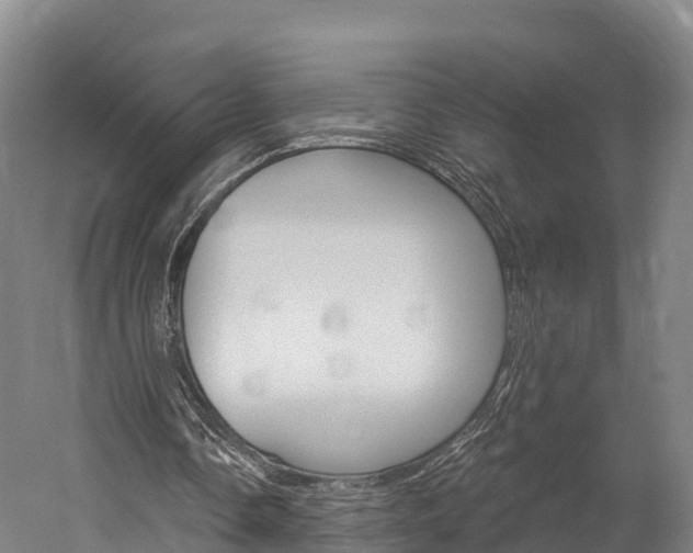 X0000060270338200510281041