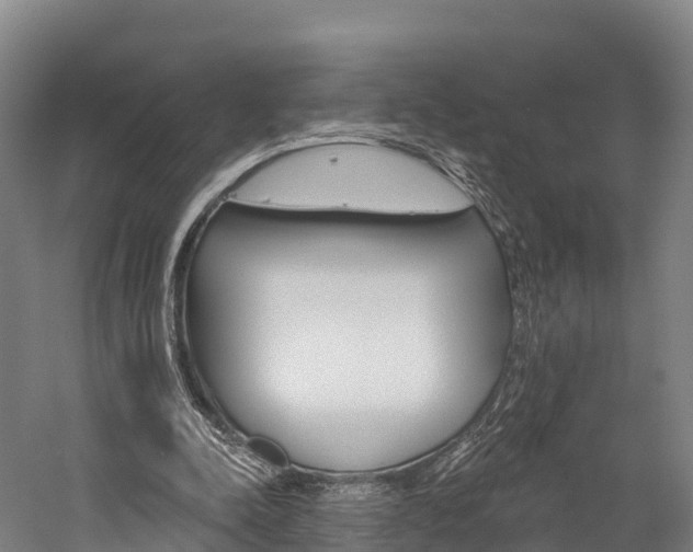 X0000060270342200510281041