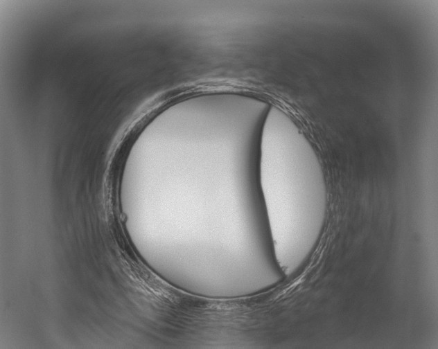 X0000060270343200510281041