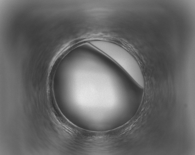 X0000060270344200510281041