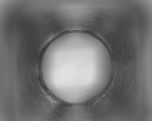 X0000060270345200510281041