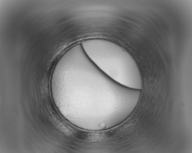 X0000060270347200510281041