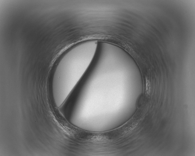 X0000060270348200510281041