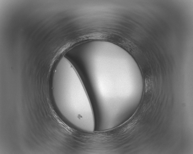 X0000060270349200510281041
