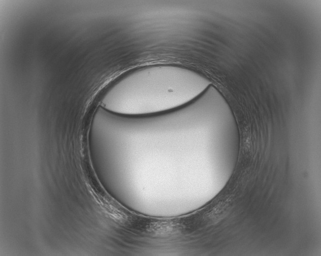 X0000060270351200510281041