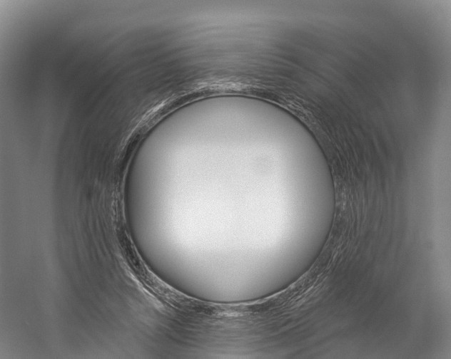 X0000060270352200510281041