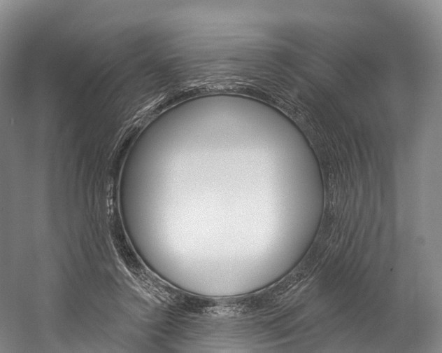 X0000060270356200510281041