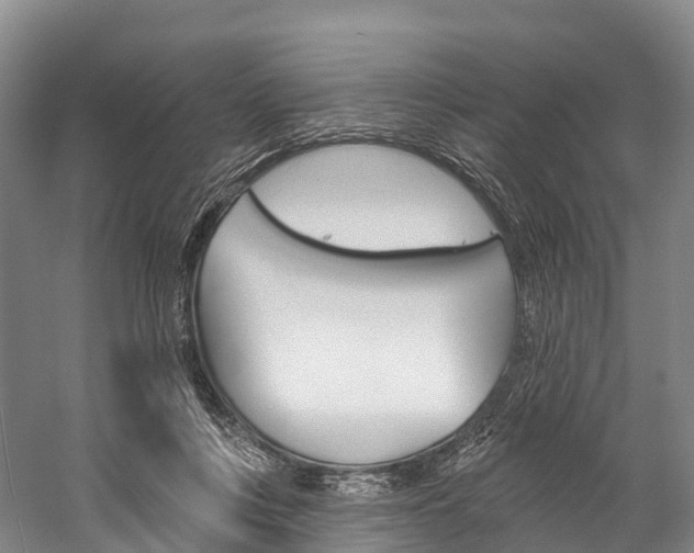 X0000060270359200510281041