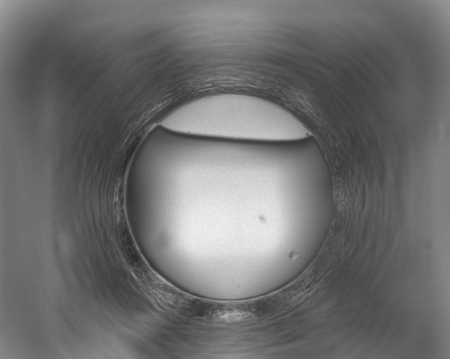 X0000060270360200510281041