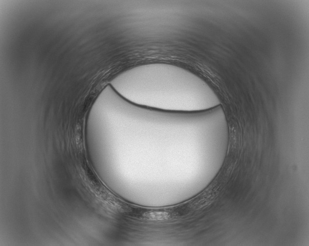 X0000060270361200510281041