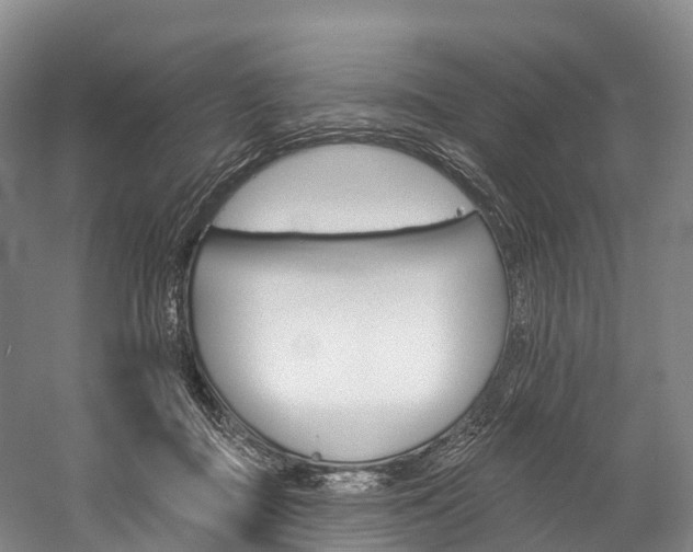 X0000060270363200510281041