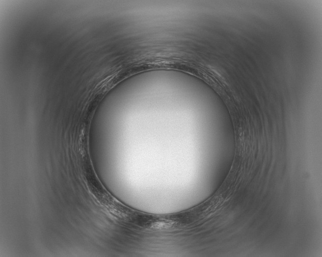 X0000060270364200510281041