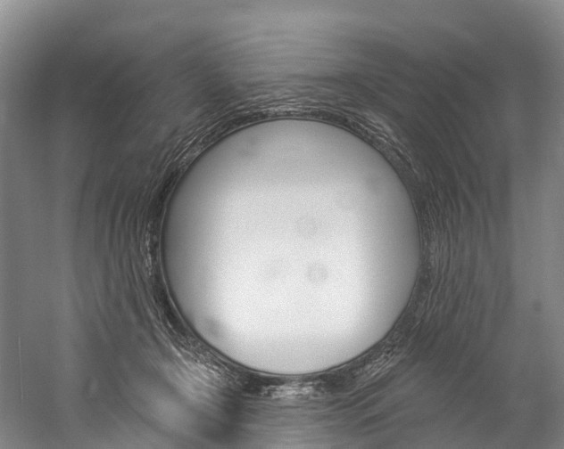 X0000060270366200510281041