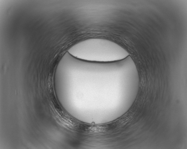 X0000060270367200510281041